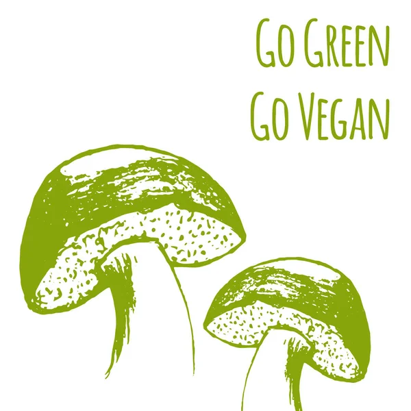 Setas Dibujadas Mano Ilustración Vectorial Seta Vectorial Verde Vegano Etiqueta — Vector de stock