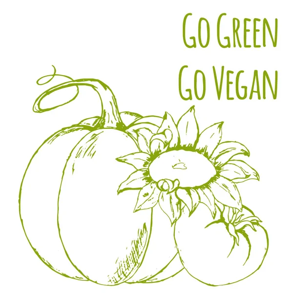 Verduras Hechas Mano Ilustración Vectorial Vector Girasol Verde Vegano Etiqueta — Vector de stock