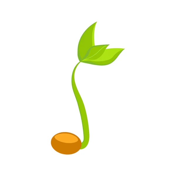 Jednoduchý Náčrt Klíčení Semen — Stockový vektor
