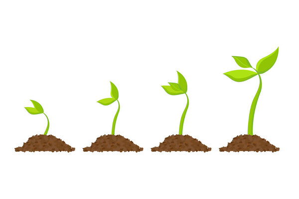 Simple sprouting seed drawing.