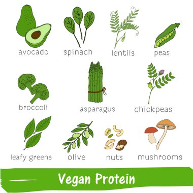 Sebze ve meyve Vegan protein yüksek bir içeriğe sahip. Elle çizilmiş vitamin seti
