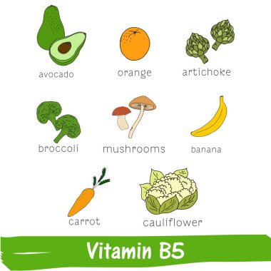 Sebze ve meyveler Vitamin B5 yüksek bir içeriğe sahip. Elle çizilmiş vitamin seti