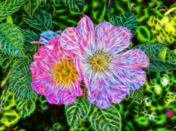 beautiful abstract color picture of forest flower