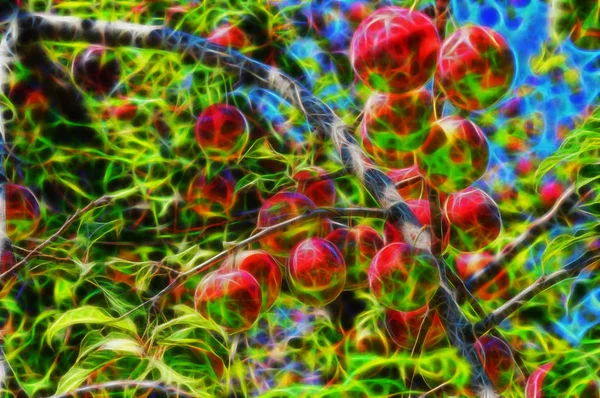 fractal picture of cherry-plums on the plum tree