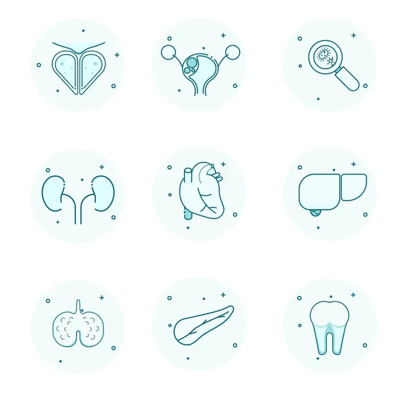 Human Organs Green Monochrome Outline Icons Set Vector Human — Stock Vector