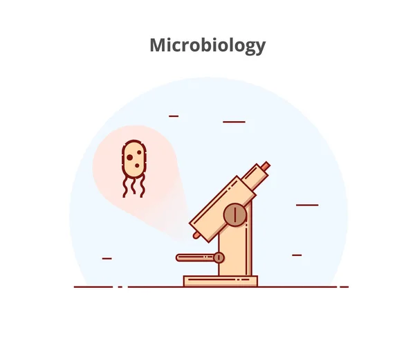 Mikrobiologische Forschung Abbildung Des Mikroskops Und Der Bakterien — Stockvektor