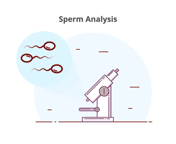 Konzeptionelle Illustration Der Spermienanalyse Vektorabbildung Von — Stockvektor