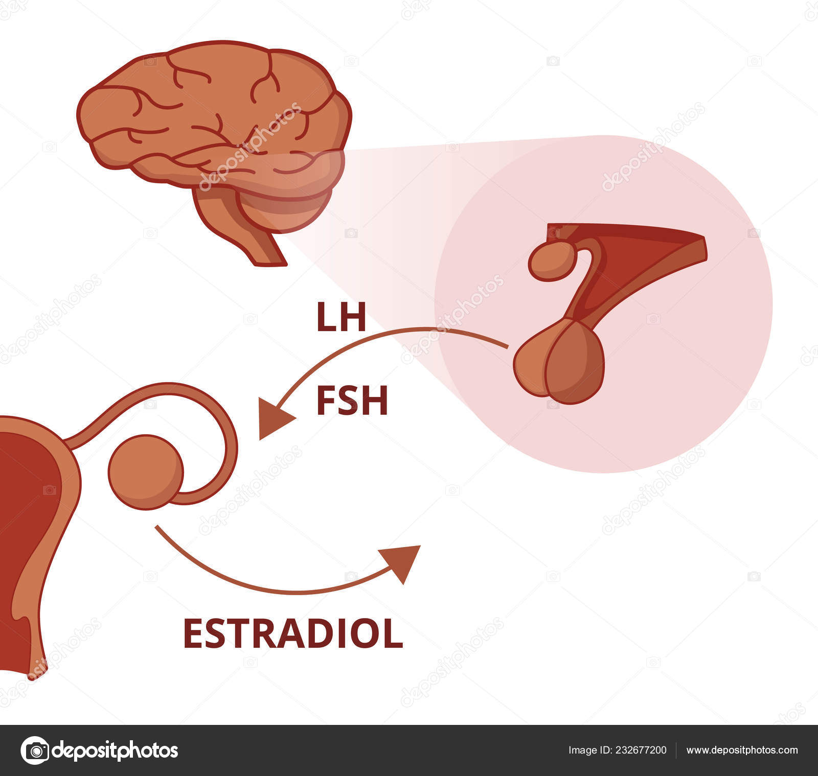 So kaufen Sie deutsche steroide mit einem knappen Budget deutsche steroide? Es ist einfach, wenn Sie es intelligent machen