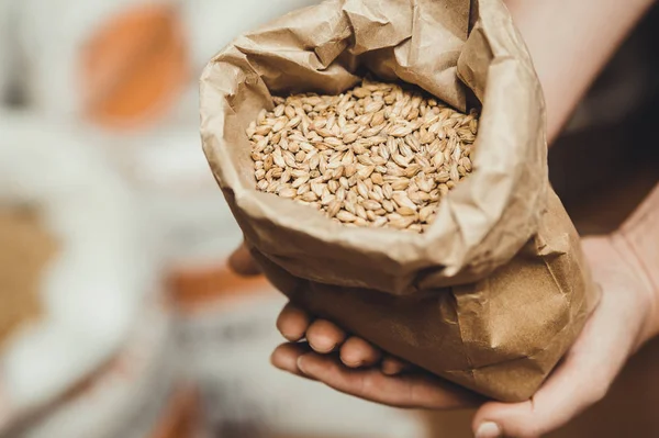Wheat grains in a craft bag in female hands