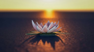 gün batımında gizemli bir lotus çiçek (3d render)