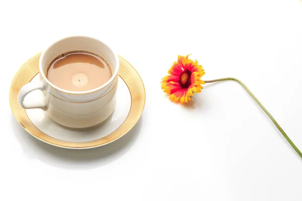 Flowers, coffee and books on a white background