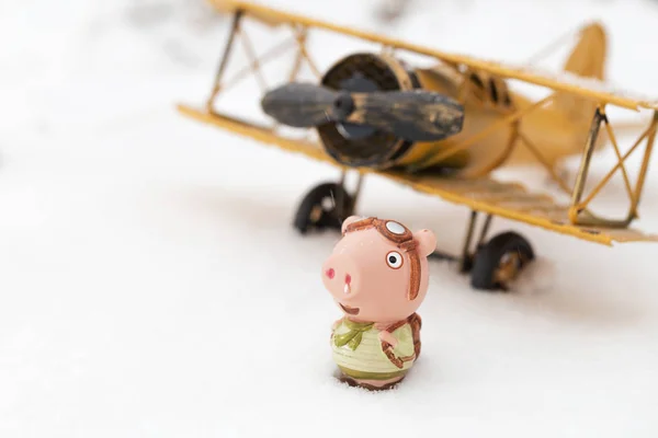 Куклы Свиньи Снегу — стоковое фото