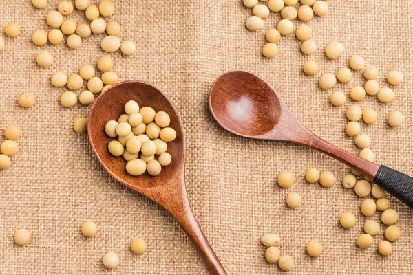 Soybeans White Background — Stock Photo, Image