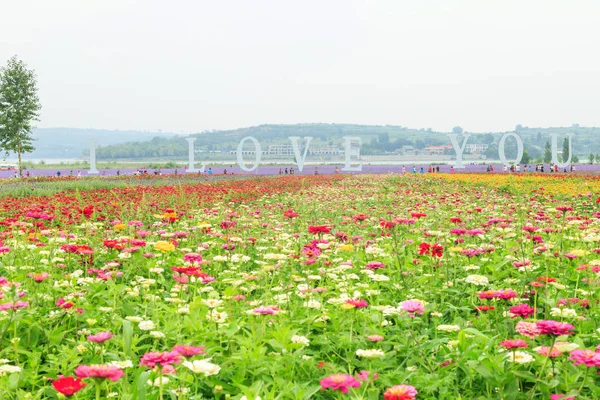 A sea of flowers made up of all kinds of flowers