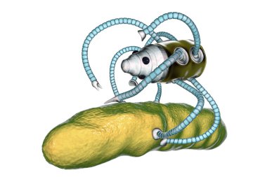 Bakteri, Nanoteknoloji tıbbi kavramı saldıran Nanobot