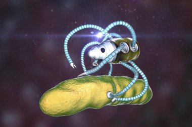 Bakteri, Nanoteknoloji tıbbi kavramı saldıran Nanobot