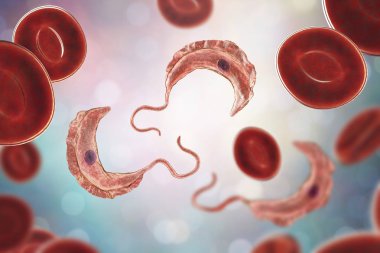 Trypanosoma brucei parazit