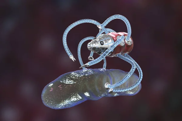 Nanobot greift Bakterium an, Nanotechnologie medizinisches Konzept — Stockfoto