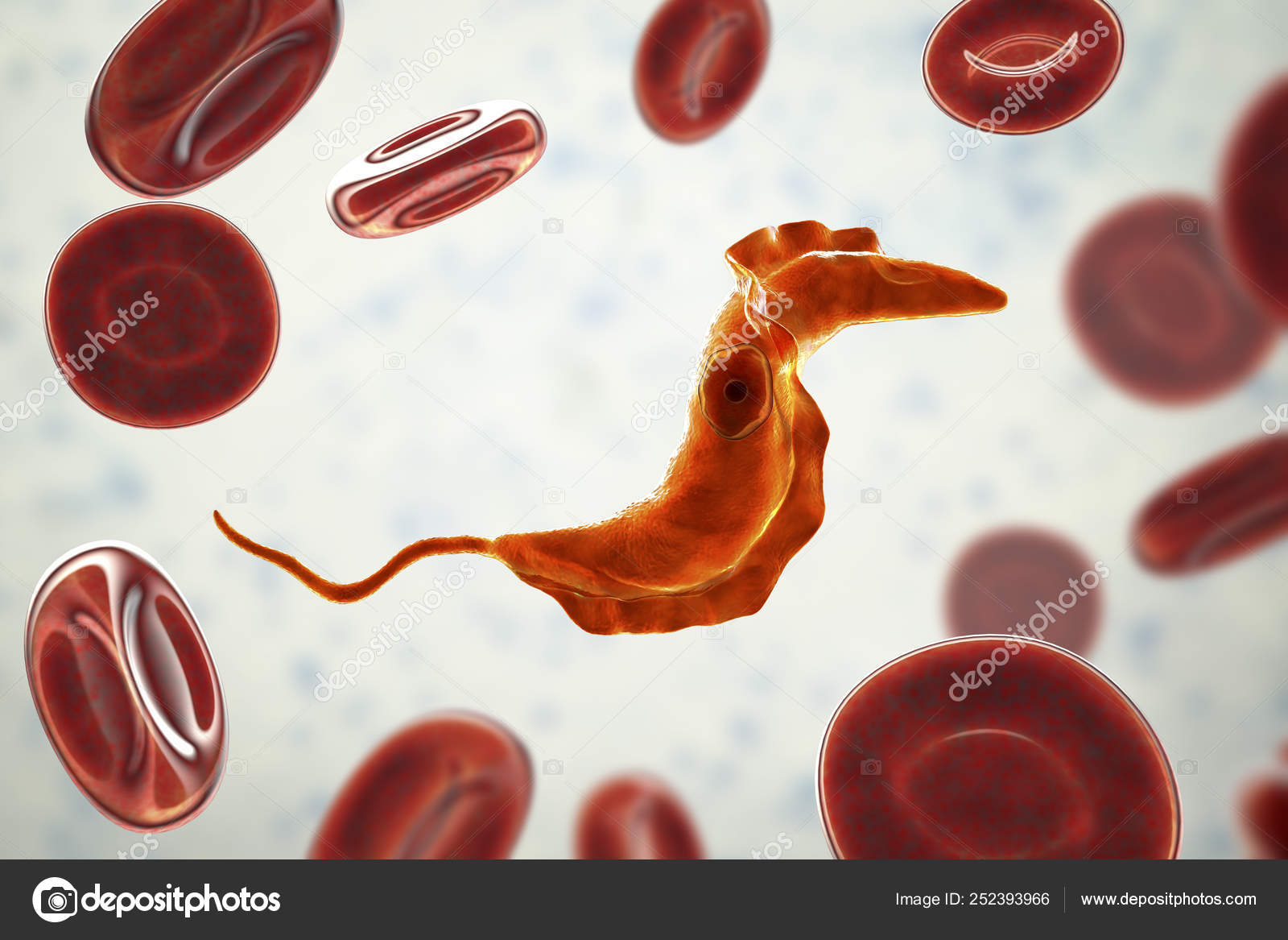 Trypanosoma cruzi parasite — Stock Photo © katerynakon 252393966