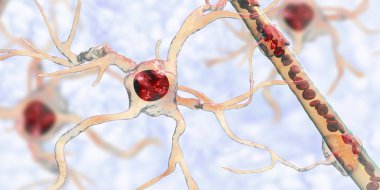 Astrocyte and blood vessel clipart