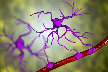 Astrosit ve kan damar