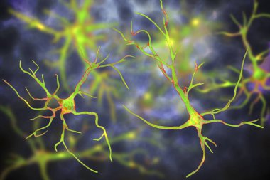 Astrocytes, brain glial cells clipart