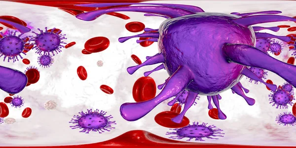 Cytomegaloviry v krvi, sférické panoráma 360 stupňů — Stock fotografie