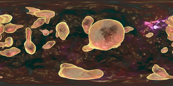 Bakterier Mycoplasma genitalium — Stockfoto