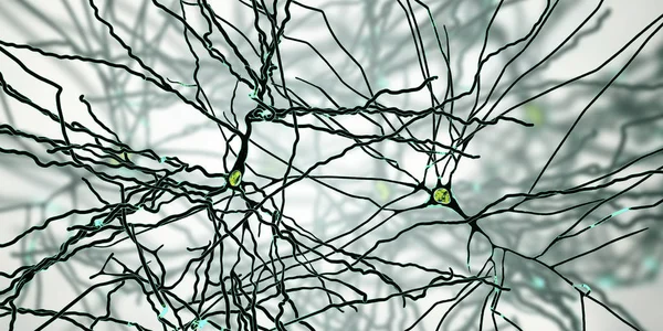 Neuronas piramidales, células cerebrales humanas — Foto de Stock
