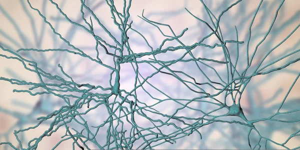 Neurones pyramidaux, cellules cérébrales humaines — Photo