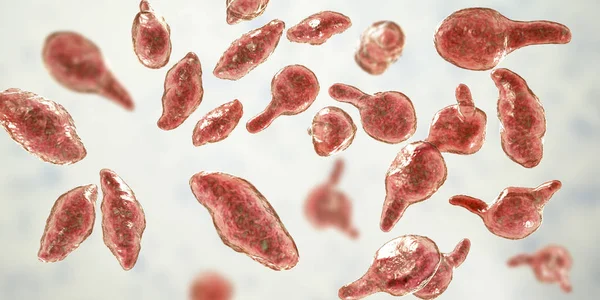 Bakterie Mycoplasma genitalium — Zdjęcie stockowe