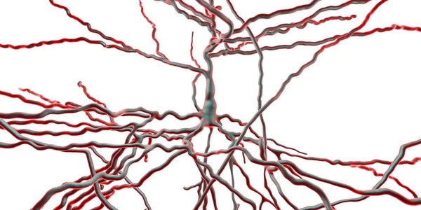 Neurona piramidal, célula cerebral humana — Foto de Stock