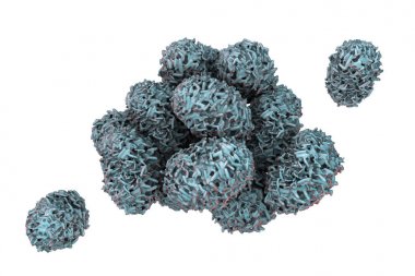 Stachybotrys chartarum kalıp Sporları