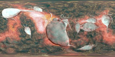 Trichomonas vaginalis protozoan, 360 derece panorama görünümü