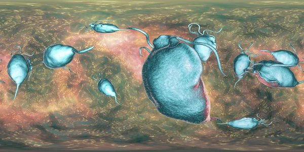 Protozoa Trichomonas vaginalis, pandangan panorama 360 derajat — Stok Foto