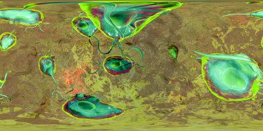 Trichomonas vaginalis protozoan, 360 derece panorama görünümü