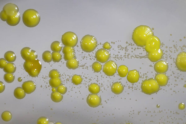 Bacteria grown from skin smear