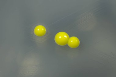 Micrococcus luteus bakteri kolonileri