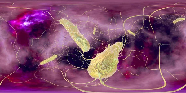 Clostridium difficile bacteria, vista panorámica esférica de 360 grados — Foto de Stock