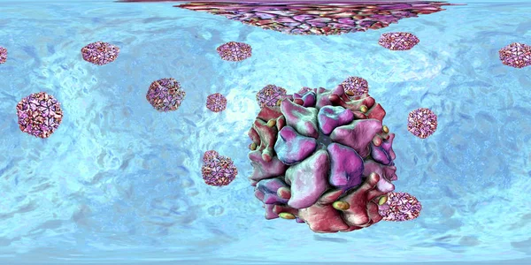 脊髓灰质炎病毒,360 度球形全景视图 — 图库照片