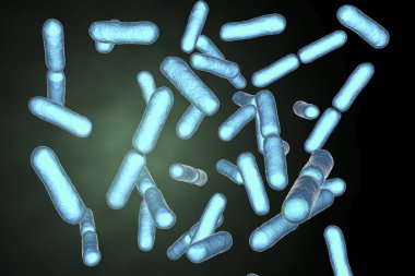 Probiotic bacteria Bacillus clausii clipart