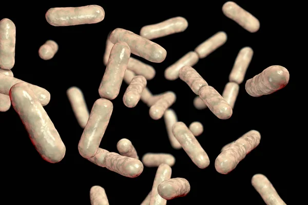 Bakterie probiotyczne Bacillus clausii — Zdjęcie stockowe