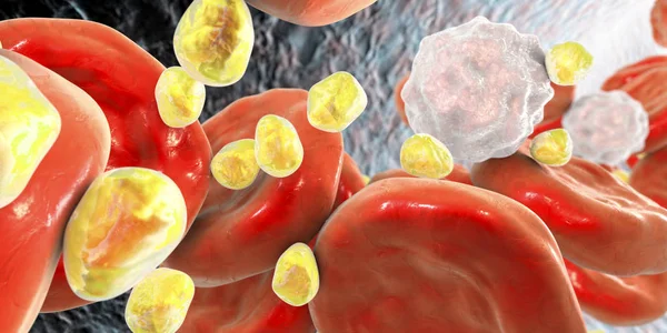 Molecole di colesterolo nel sangue — Foto Stock