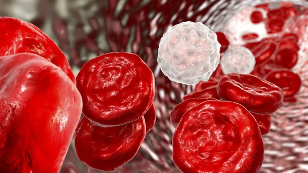血流、红细胞和白细胞 — 图库照片
