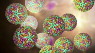 Zika virüsleri, Zika humunun nedensel maddesi