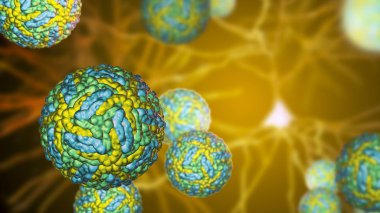 Zika virüsleri, Zika humunun nedensel maddesi