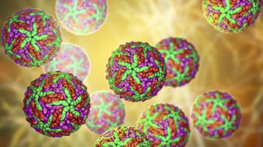 Zika virüsleri, Zika humunun nedensel maddesi