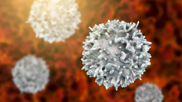 Limfocytów, widok zbliżenie T-cell lub B-Cell — Zdjęcie stockowe