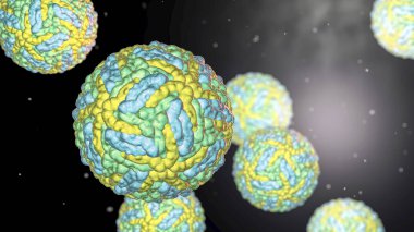 Zika virüsleri, Zika humunun nedensel maddesi
