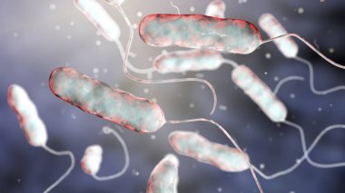 Legionella pnömofili bakterisi